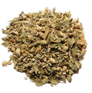 Changa